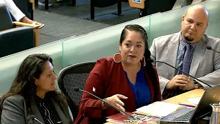 Seattle City Council Civic Development, Public Assets, and Native Communities Committee 6/5/19