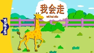 I Can Walk (我会走) | Single Story | Early Learning 1 | Chinese | By Little Fox