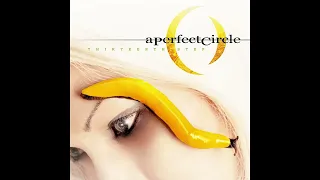 A̲ P̲e̲r̲fect C̲i̲rcle -  Thirteenth Step (Full Album)