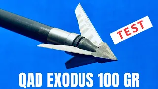 EXODUS SWEPT 100 gr Broadhead Test--One of the Best in 2022