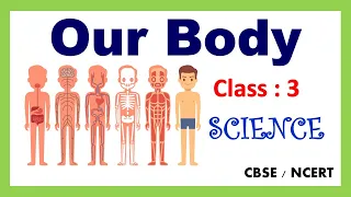 Our Body | Class : 3 | Science | EVS | CBSE / NCERT | Organ System |  Our Amazing Body