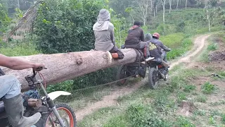 Ojek palang kayu jati Blitar Paling menegangkan dan Paling nekat