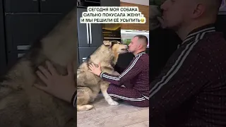 СОБАКА НАПАЛА НА ЖЕНУ! УСЫПЛЕНИЕ!