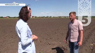 🥔 САДИ ПЕРЕМОГИ! "Городні війська" на Черкащині вдруге висаджують борщовий набір та популярні овочі