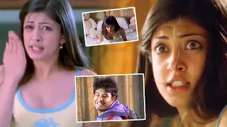 Tanish & Pranitha Hilarious Comedy Scenes || Telugu Movie Scenes || TFC Telugu Videos
