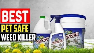 ✅Top 5 Best Pet Safe Weed Killer for Your Yard in 2023