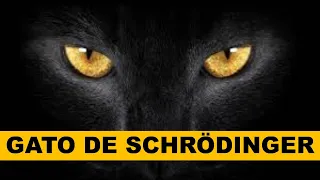 O gato de Schrödinger e a superposição de estados  (Física quântica explicada)