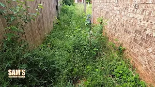 Customer ask if I can make this backyard passable for the technician | Oddly Satisfying | Tall Grass