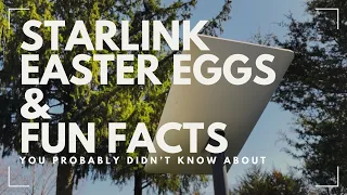 Starlink Easter Eggs and Fun Facts You Didn't Know About