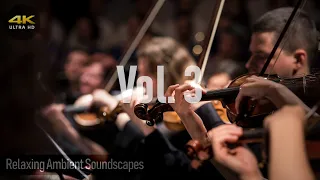 Relaxing Classical Music (Vol.3) Hi-Res 24-bit 96kHz FLAC Audio