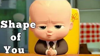 Ed Sheeran shape of you (the boss baby)