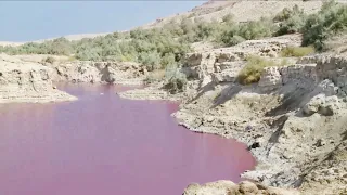 Water near Dead Sea turns blood red