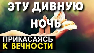 Эту дивную ночь - Прикасаясь к вечности - Пётр Бальжик