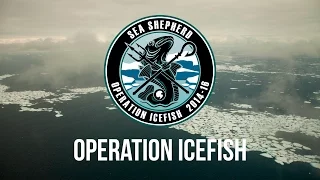 Illegal Fishing in Antarctica Shut Down by Sea Shepherd.
