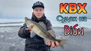 Київське водосховище. Ловля СУДАКА на віби