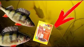 МАНКА С КОШАЧЬИМ КОРМОМ, ЛЕЩ, ОКУНЬ, РЕАКЦИЯ РЫБЫ, ПОДВОДНОЕ ВИДЕО, UNDERWATER FISHING KITEKAT