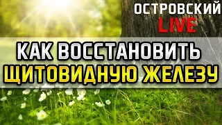 КАК ВОССТАНОВИТЬ ЩИТОВИДНУЮ ЖЕЛЕЗУ! Островский Live. Зоб, гипертиреоз, бессонница, невроз, щитовидка