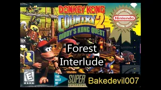 Forest Interlude Donkey Kong Country 2 Music Extended
