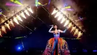 Katy Perry - Firework (Live at The Prismatic World Tour)