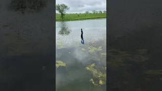 Punching weeds for big bass