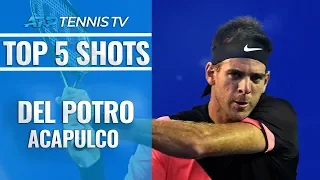 Juan Martin Del Potro: Top 5 Shots & Rallies in Acapulco