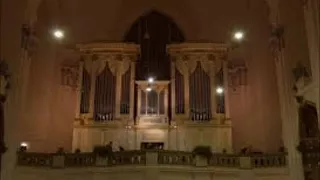 Jan Zeman hraje na největší brněnské varhany
