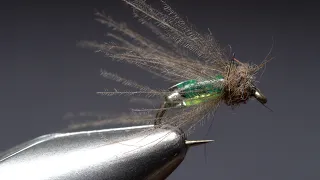 Shiney Hiney Caddis Pupa