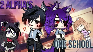 🐺~2 Alpha’s in one school!?~💔 [GLMM] Gachalife minimovie -GACHA- 🍿