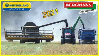 ŽNĚ 2021 | SKLIZEŇ ŘEPKY | 2x NEW HOLLAND CR, 1x CASE AF | BERGMANN GTW 300