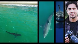 Fatal Great White Shark Encounter in Australia-OCEAN TALKS