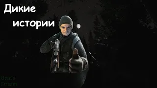 Дикие истории [Часть 1]