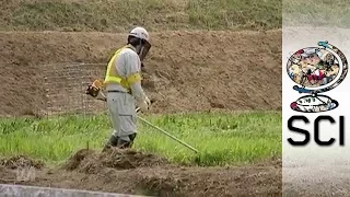 Fukushima’s Radioactive Contamination Three Years On