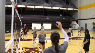 Gopher Volleyball's Female Warrior