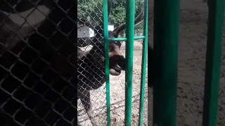 Самый лучший зоопарк мира