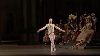 The Art of Vadim Muntagirov (The Royal Ballet)