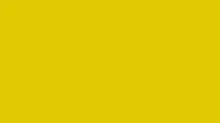 Corn Yellow Screen