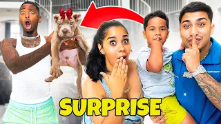 We SURPRISED FunnyMike With A New Puppy