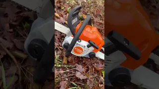 Stihl MS 162 | In the Woods 🤟🏻