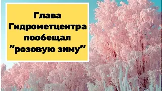 Глава Гидрометцентра пообещал россиянам «розовую зиму»!