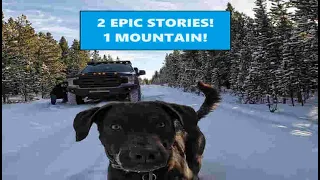 An Overland Dog’s Adventure to Limestone Mountain! Not Once, But Twice!