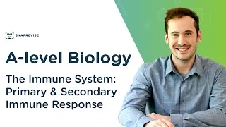 The Immune System: Primary & Secondary Immune Response | A-level Biology | OCR, AQA, Edexcel