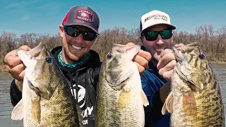 Bass Fishing on Pickwick - Tennessee River Bass Fishing with Ryan Salzman of Alabama Bass Guide