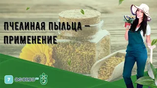 Пчелиная пыльца — применение