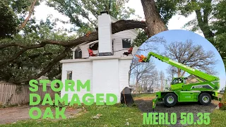 Oak tree falls on 2 houses! Removed with the Merlo