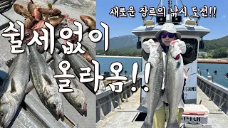 [다리tv] 붉바리가 잡어?! 무조건 될 것 같아 시도한 낚시!! 역시 대박입니다!!!