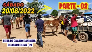 Feira de Cavalos e Animais de Abreu e Lima - PE PARTE 2