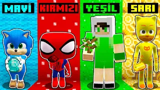 HANGİ GİZLİ RENGİ SEÇMELİYİM - ⚠️ Minecraft