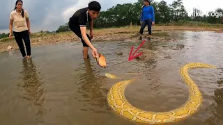 ALERTS! 2 Women FOUND Snakes Under Mud Pond - BIGGEST SNAKE IN A DECADE HELPED!