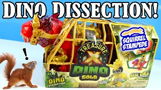 Treasure X Dino Gold Red T Rex Dissection with Exclusive Hunter!