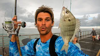 Using Live Pinfish for Bait! - Money Can't Buy This Fish, So we Catch It!